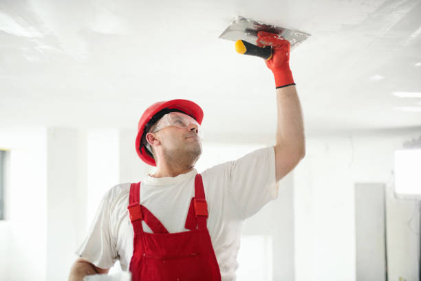 Trusted Orange Blossom, CA Mold Removal Experts
